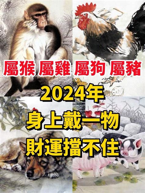 屬豬佩戴飾物|「屬猴、屬雞、屬狗、屬豬人」2024年身上戴一物，。